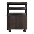 Contempo Mobile Cart in Ozark Ash Brown finish