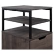 Contempo Mobile Cart in Ozark Ash Brown finish