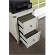 Baton Rouge 2 Drawer File Cabinet in Champagne White Oak Finish
