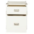 Wellington 2 Drawer File Cabinet in White Engineered Wood Fully Assembled