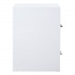 2 Drawer Locking Metal File Cabinet in White
