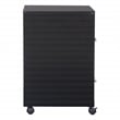 2 Drawer Mobile Locking Metal File Cabinet in Black