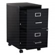 2 Drawer Mobile Locking Metal File Cabinet in Black