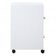 2 Drawer Mobile Locking Metal File Cabinet in White