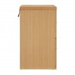 Alpine 2-Drawer Engineered Wood Vertical File with Lockdowel  in Natural Finish
