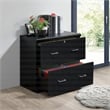 Alpine 2-Drawer Engineered Wood Lateral File with Lockdowel  in Black Finish