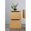 Denmark 2-Drawer Engineered Wood Vertical File with Lockdowel  in Natural Finish