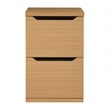 Denmark 2-Drawer Engineered Wood Vertical File with Lockdowel  in Natural Finish