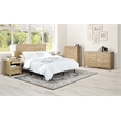 Stonebrook Deluxe Queen/Full 5 Piece Bedroom Set in Wood Canyon Oak Finish