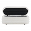 Clifford Storage Bench in Ivory Sherpa Fabric