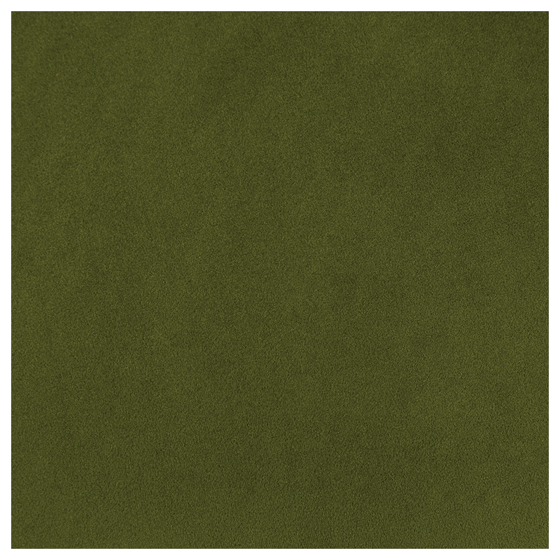 Stella Cane Back Chair in Moss Green Fabric