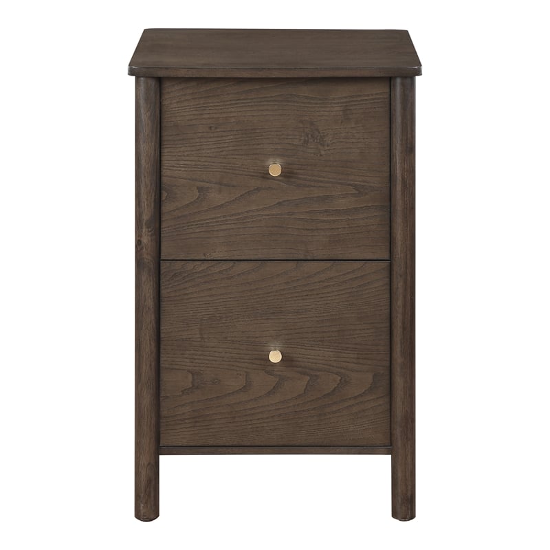 Wembley Assembled 2-Drawer File Cabinet Engineered Wood Burnt Ash Finish