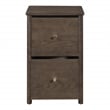 Wembley Assembled 2-Drawer File Cabinet Engineered Wood Burnt Ash Finish