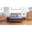 6-Drawer Contemporary Wood Chest Dresser in Walnut