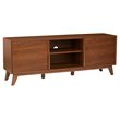 2-Door Mid-Century Wood Media Cabinet in Walnut