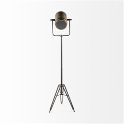 Floor Lamps
