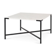 Mercana Lucas II Marble & Metal Coffee Table in Black and White