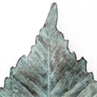 Mercana Brattea 12