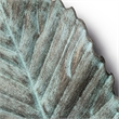 Mercana Brattea 12