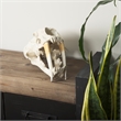 Mercana Fozzil White and Tan Colored Resin Sabretooth Skull Replica