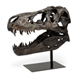 Mercana Lagrane Metal Replica Dinosaur Tyrannosaurus Black/Brass T-Rex Skull