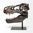 Mercana Lagrane Metal Replica Dinosaur Tyrannosaurus Black/Brass T-Rex Skull