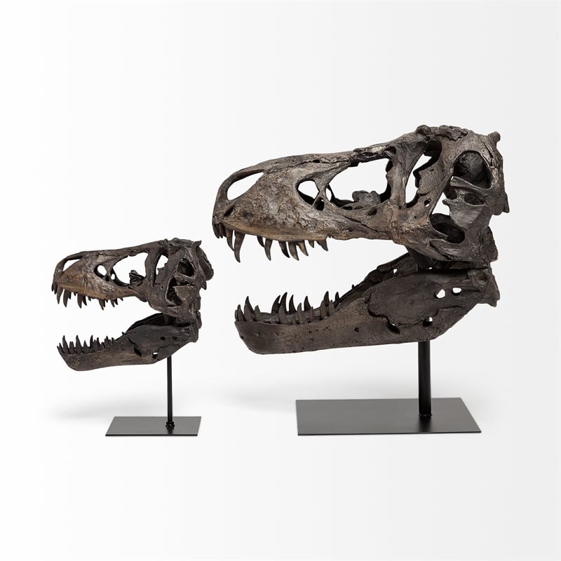 Mercana Lagrane Metal Replica Dinosaur Tyrannosaurus Black/Brass T-Rex Skull