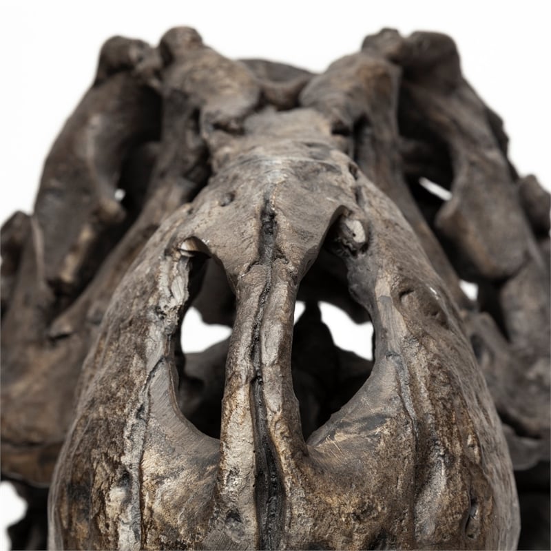 Mercana Lagrane Metal Replica Dinosaur Tyrannosaurus Black/Brass T-Rex Skull