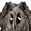 Mercana Lagrane Metal Replica Dinosaur Tyrannosaurus Black/Brass T-Rex Skull
