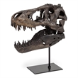 Mercana Lagrane Metal Replica Dinosaur Tyrannosaurus Black/Brass T-Rex Skull