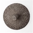 Mercana Mandor I Small Brown Resin Acorn Box