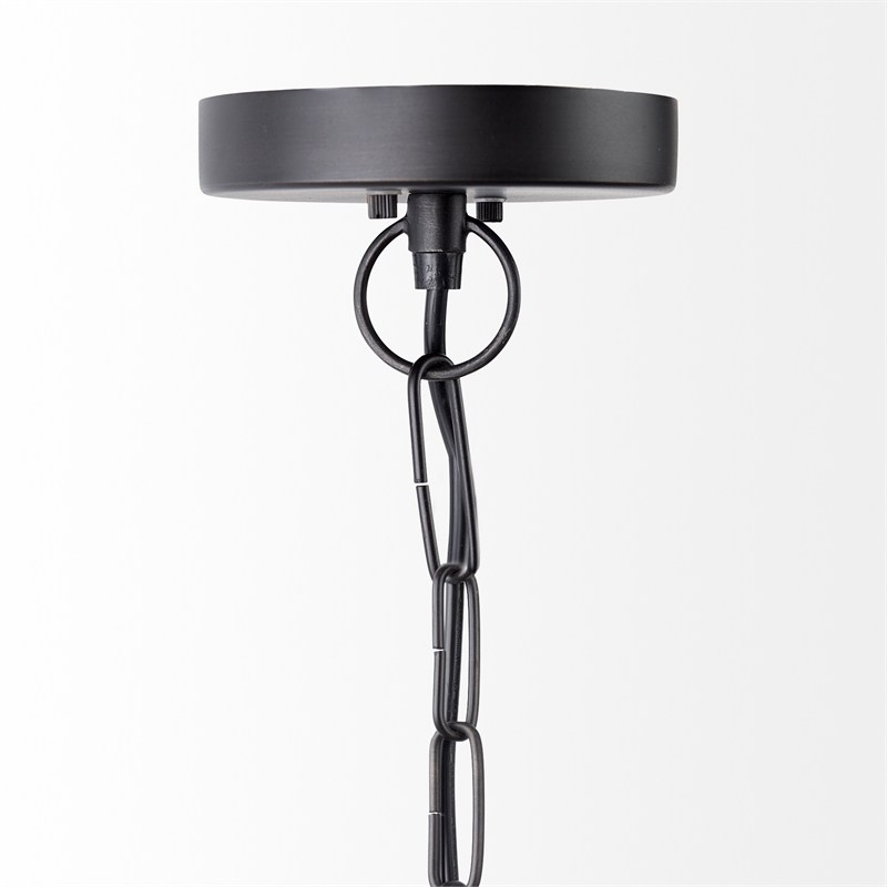 Mercana Leighton Ii 15X20 Black Metal Spherical Pendant Light in Clear