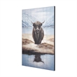 Mercana Wild Ox Painting On Wood in Brown