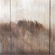 Mercana Wild Ox Painting On Wood in Brown