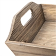 Mercana Tawny (Set Of 2) Natural Wooden Trays in Brown