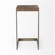 Faye Medium Brown Wood Antique Nickel Finished Metal Base C Side Table