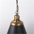 Fenton Black W/Antiqued Gold Accents Pendant Light