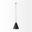 Fenton Black W/Antiqued Gold Accents Pendant Light