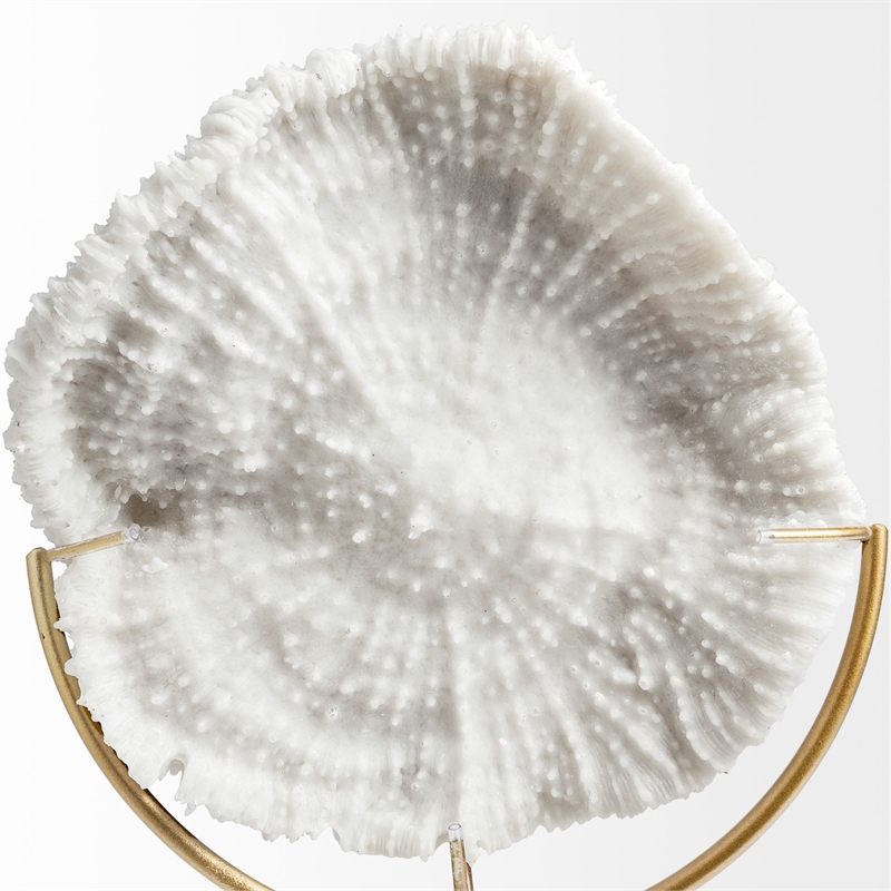 Sandy I (Small) White Coastal Sand Dollar Object