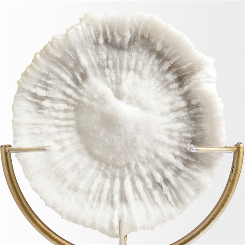 Sandy III (Large) White Coastal Sand Dollar Object