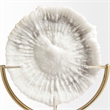 Sandy III (Large) White Coastal Sand Dollar Object