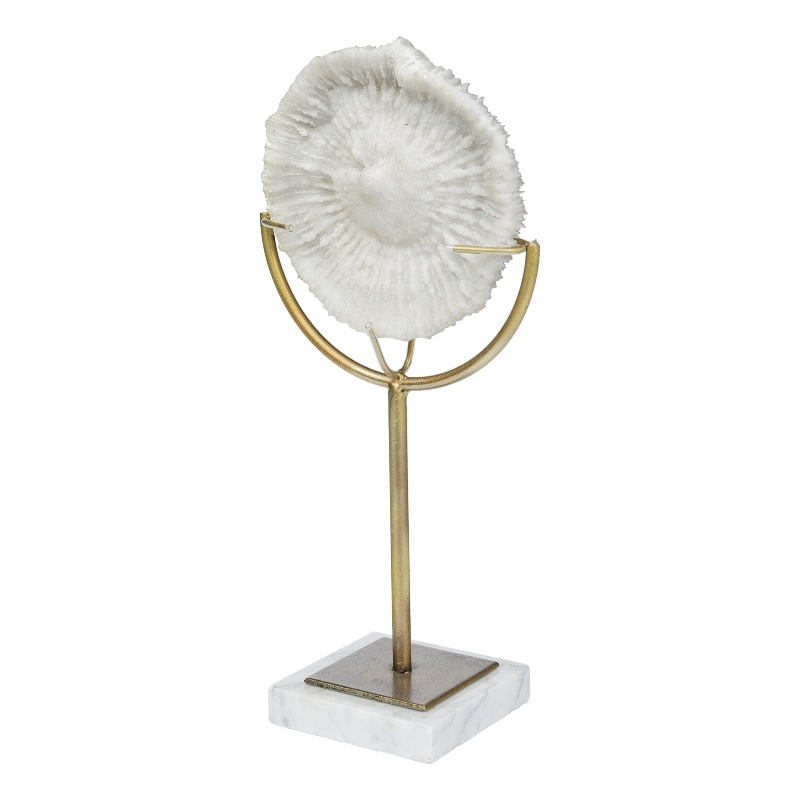 Sandy III (Large) White Coastal Sand Dollar Object