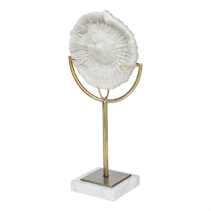 Sandy III (Large) White Coastal Sand Dollar Object