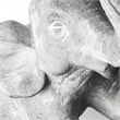 Maynard I Set of Grey Elephant Wall Decorations
