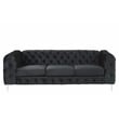 RN Furnishings 2- Piece Button Tufted Velvet Fabric Sofa Set -Black
