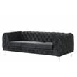 RN Furnishings 2- Piece Button Tufted Velvet Fabric Sofa Set -Black