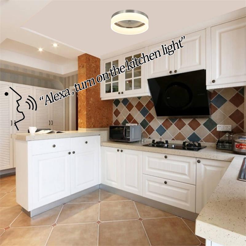 12 in. 1-Light Satin Nickel Finish Smart LED Ceiling Light Flush Mount
