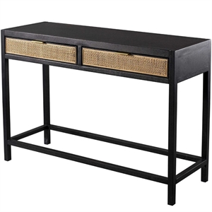 newport 43.3 in. matte black 2-drawer rectangular wood console table