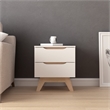 18.89 in. White and Natural Oak Rectangle Wood End Table with 2 Drawers