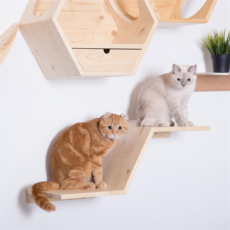 Zone Wall Mounted Cat Shelves Floating Perch Right Higher | Cymax Business